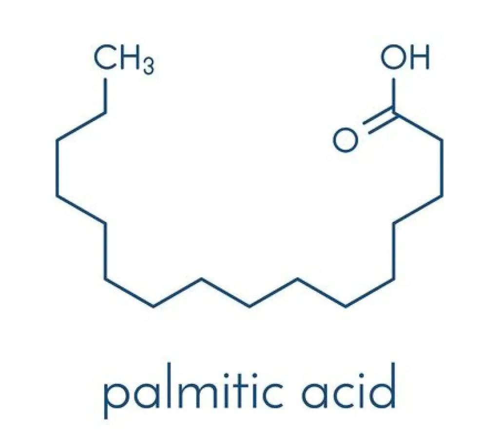 Axit Palmitic là một axit béo phổ biến trong dầu cọ và dầu dừa