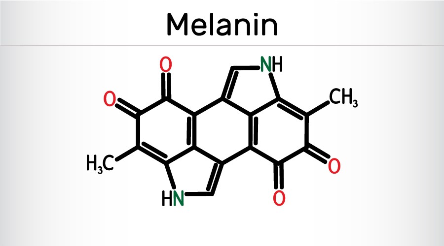 Melanin - nguyên nhân gây nám sâu không chỉ nằm ở thượng bì mà còn nằm sâu dưới lớp trung bì, hạ bì