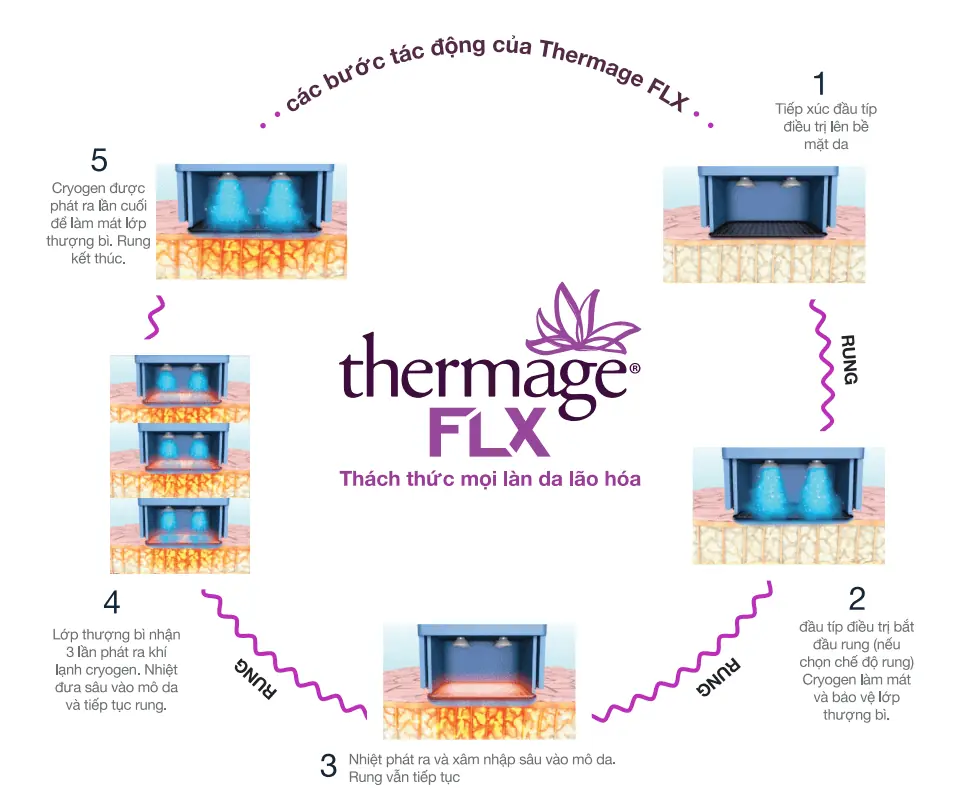 Cơ chế hoạt động của Thermage FLX