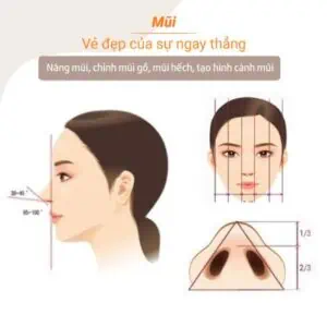 Tỷ lệ mũi đẹp