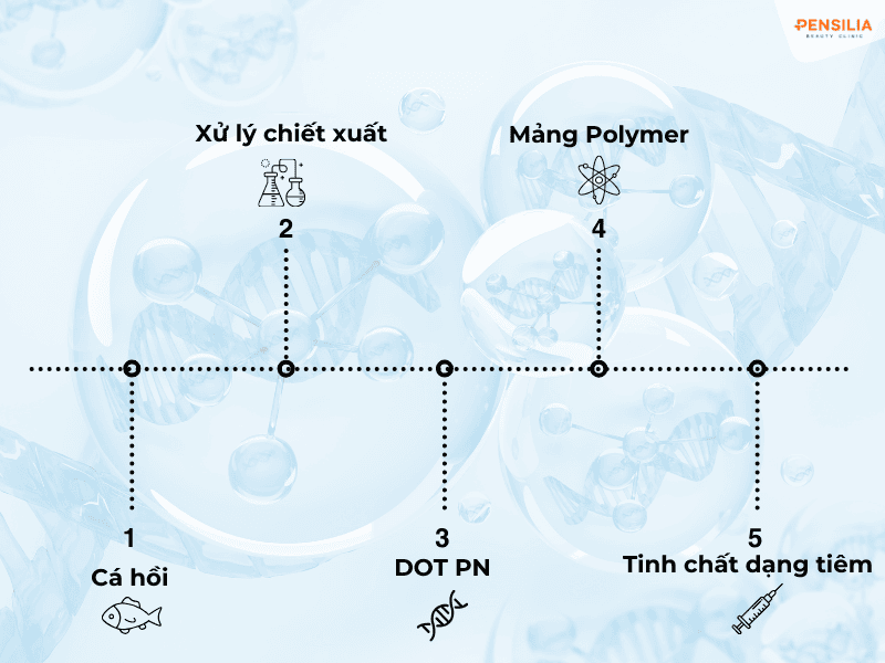 PN được sản xuất ra sao 