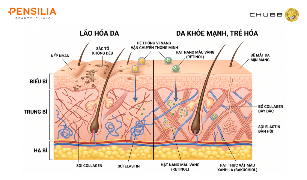 Retinol và Bakuchiol kết hợp trong cùng công thức: có thực sự hiệu quả hơn không?