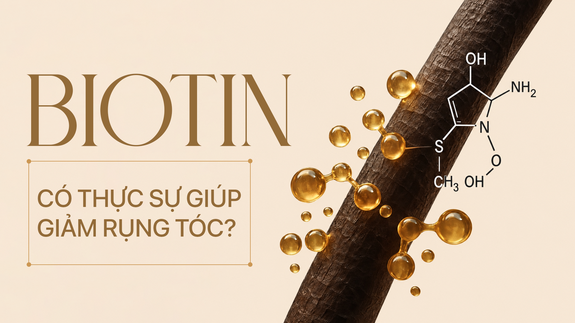 Biotin có thực sự giúp giảm rụng tóc