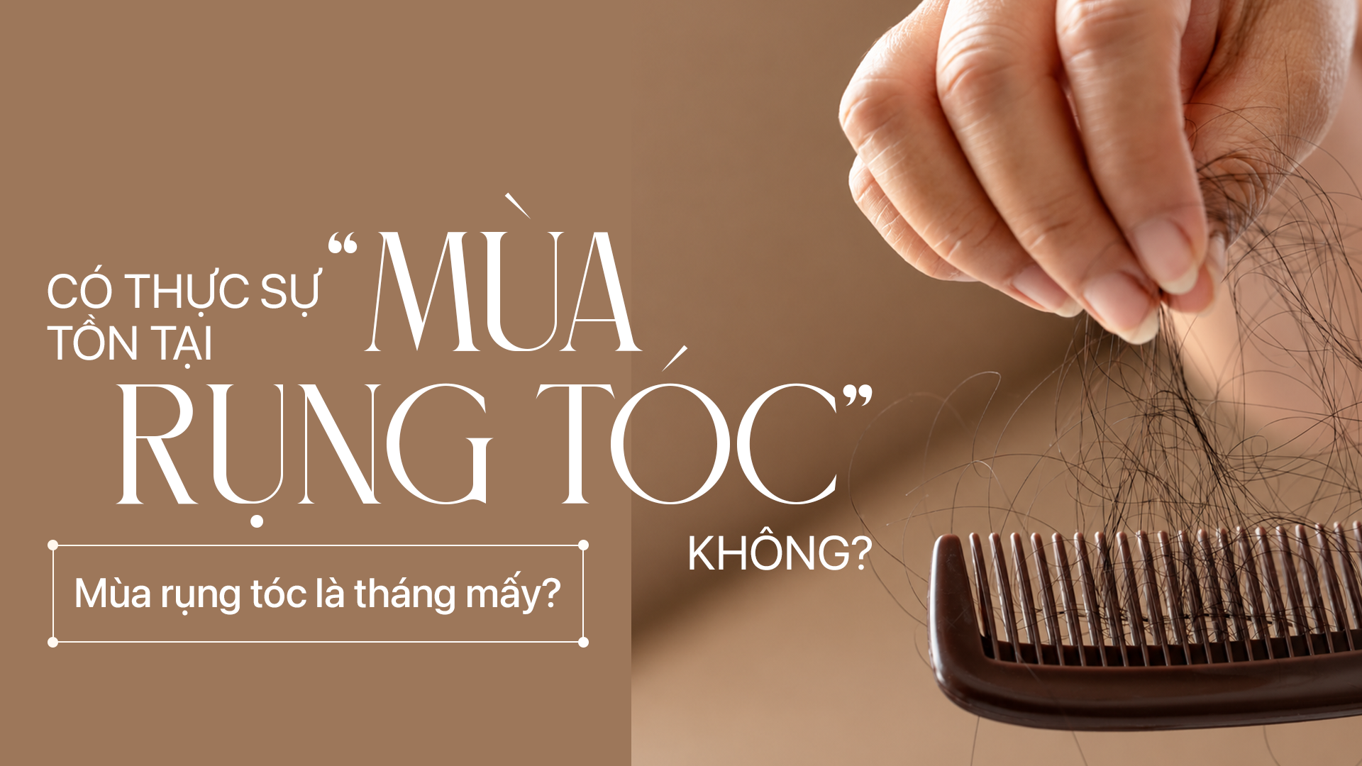 Có thực sự tồn tại “mùa rụng tóc” không