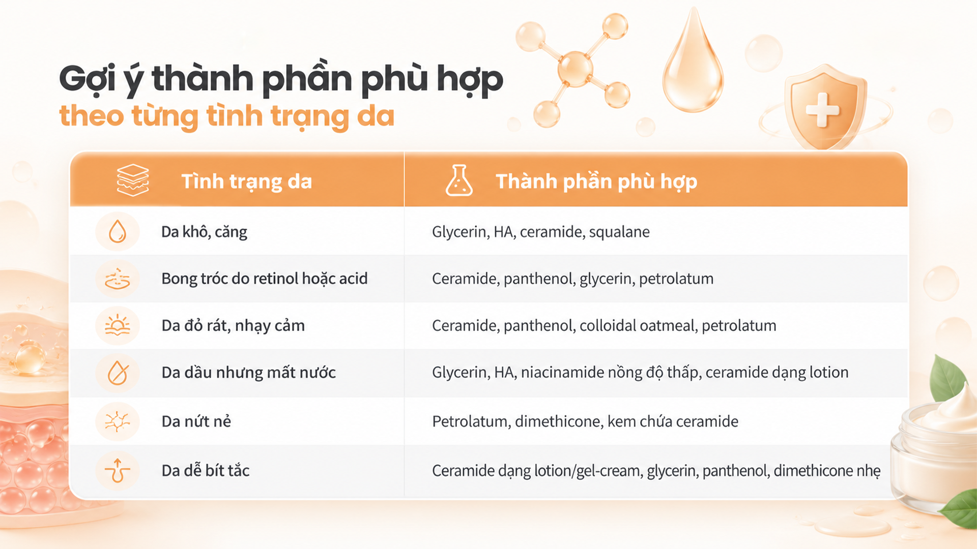 thành phần phục hồi hàng rào da: ceramide, glycerin và những lựa chọn phù hợp
