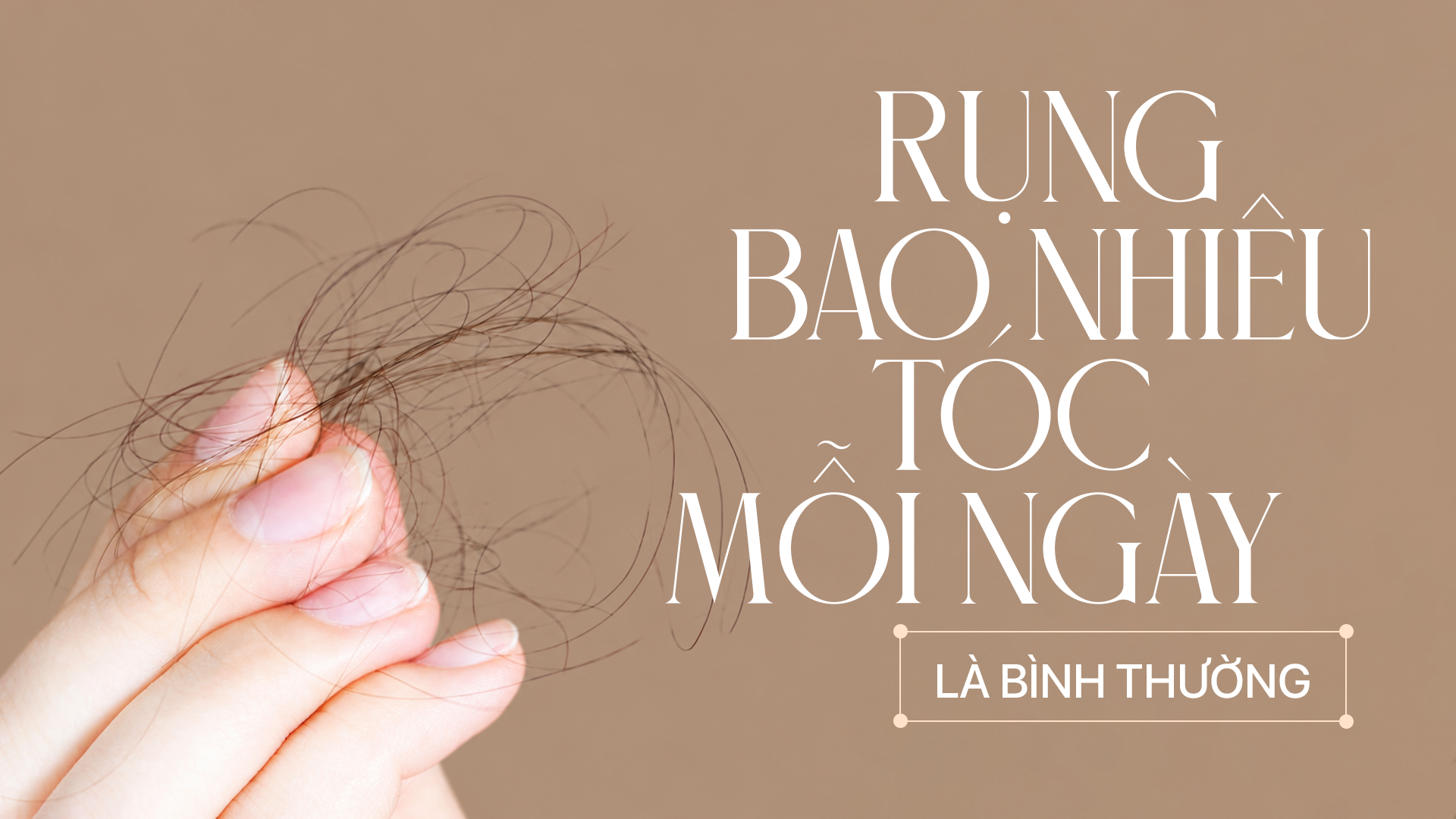 Rụng bao nhiêu tóc mỗi ngày là bình thường