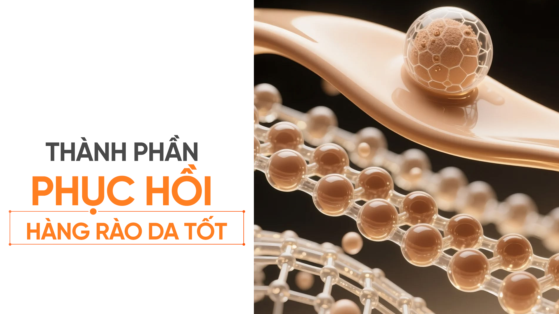 phục hồi hàng rào da: ceramide, glycerin và những lựa chọn phù hợp