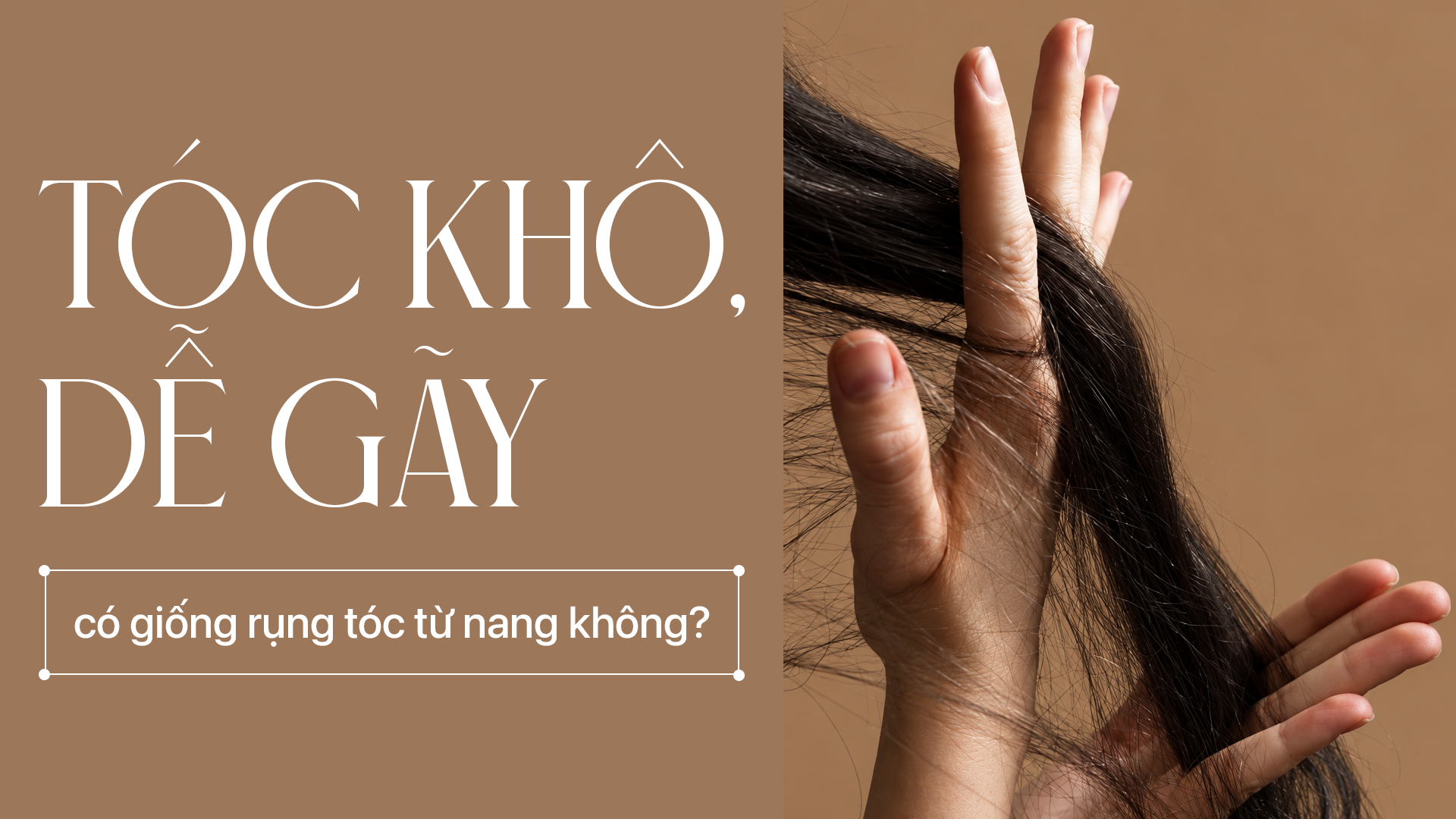 Tóc khô, dễ gãy có giống rụng tóc từ nang không